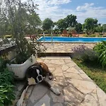 Сasa de vacaciones Stone Medal