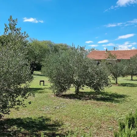 Сasa de vacaciones Stone Medal