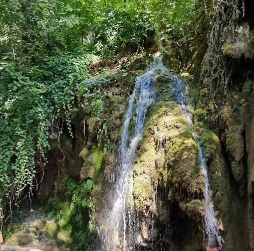 Stone Medal Сasa de vacaciones *