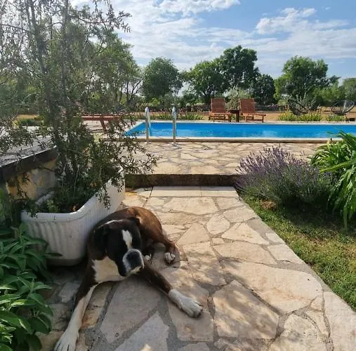 Сasa de vacaciones Stone Medal